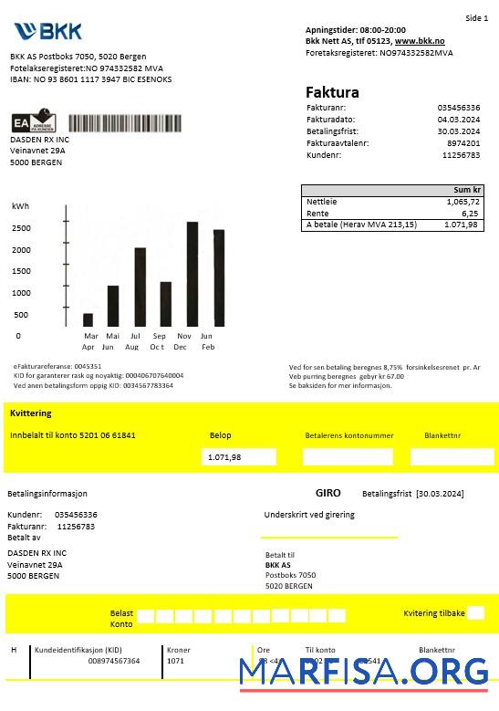 Printable Norway BKK electricity business utility bill template in Word and PDF formats, good for address prove